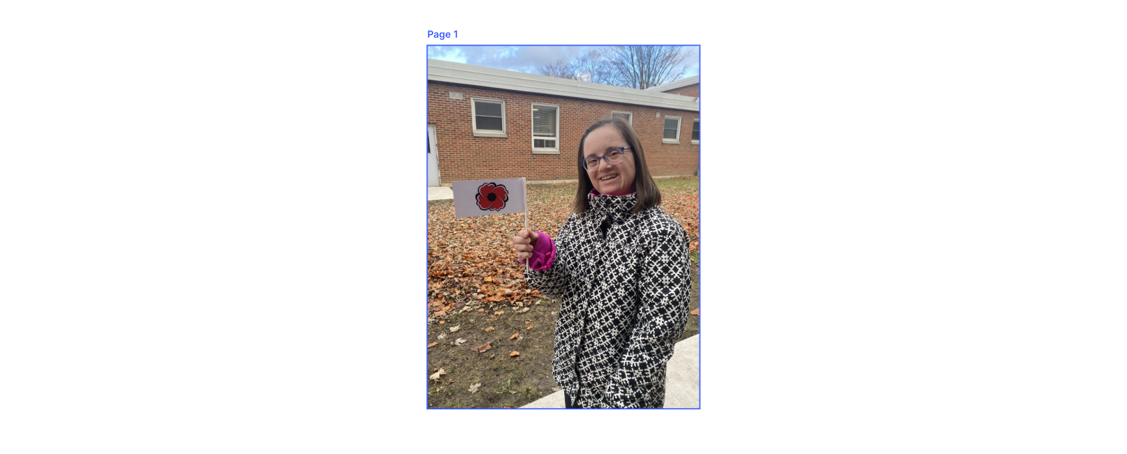 remembrance day - girl with poppy