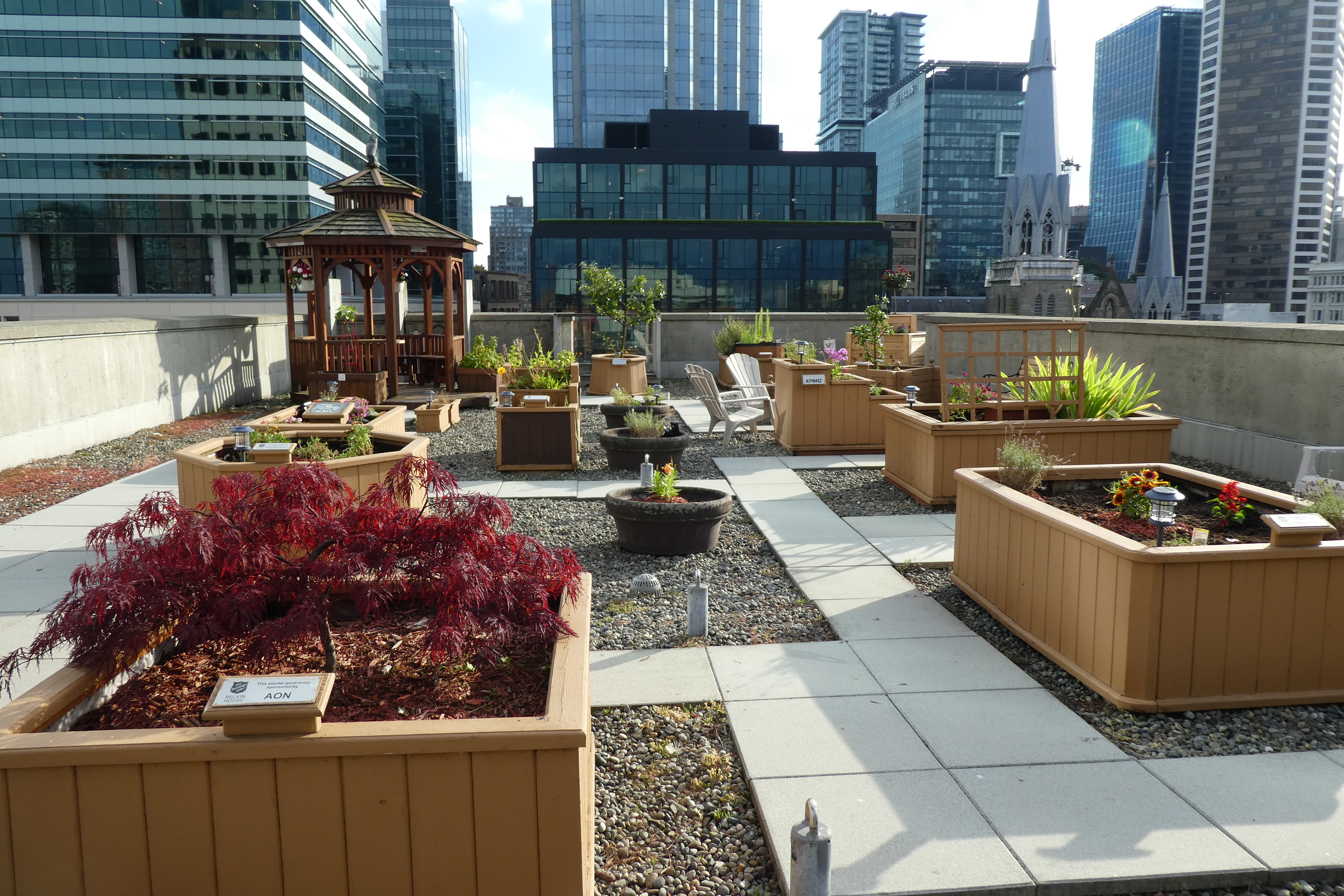 A rooftop plantation